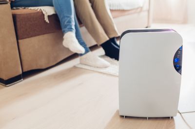 Basement Dehumidifier Service in Annapolis, MD